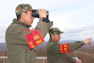 瞭望塔上的綠色心愿