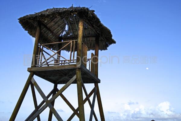 熱帶瞭望塔77 云端之上的守望